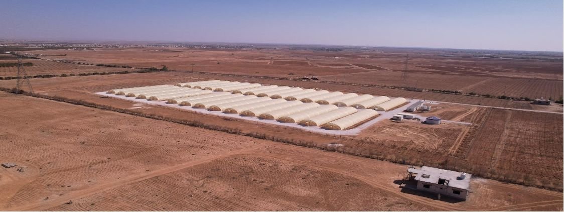 Sustainable Greenhouse